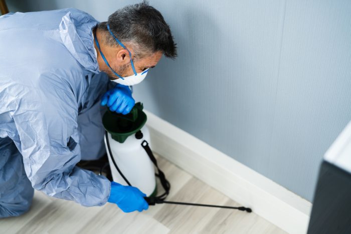 pest exterminators near me