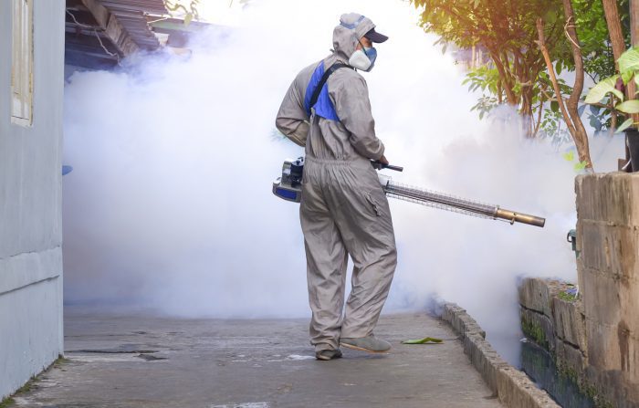 mosquito pest control